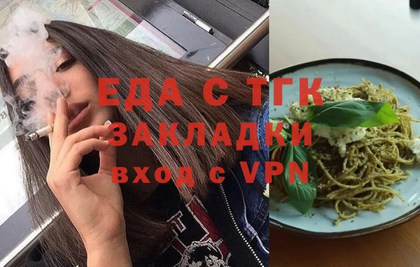 гашик Вяземский