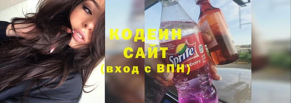 гашик Вяземский
