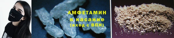 гашик Вяземский