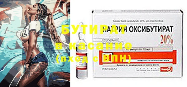 гашик Вяземский