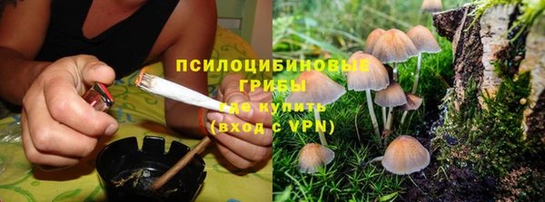 гашик Вяземский