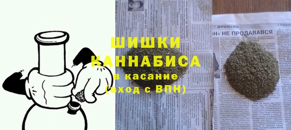 гашик Вяземский