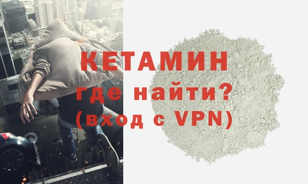 гашик Вяземский