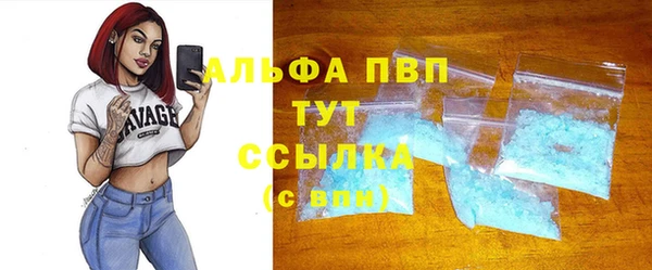 гашик Вяземский