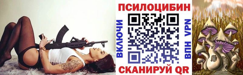 Галлюциногенные грибы мицелий купить Дмитровск